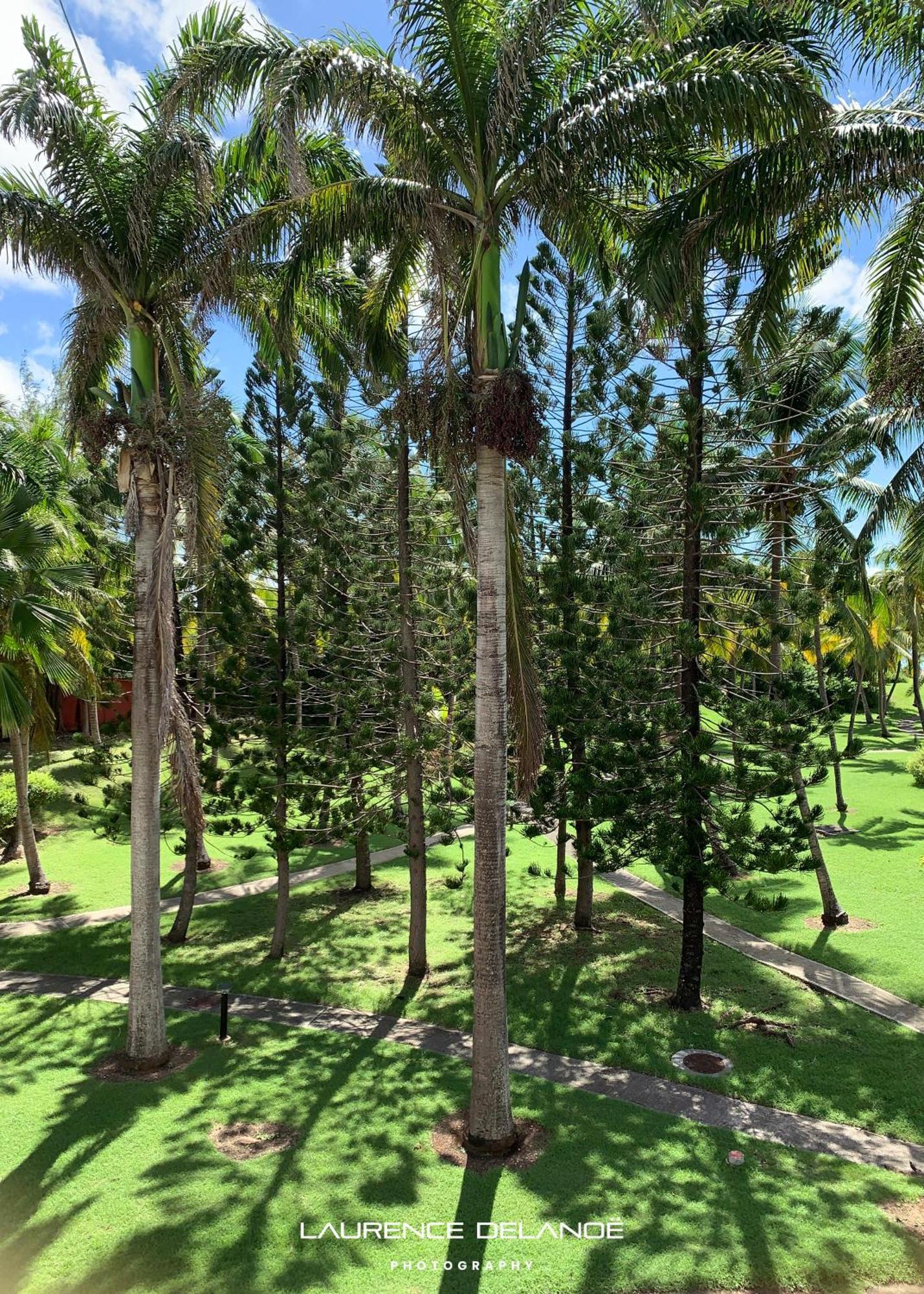 Appartement Varangue, Anse Des Rochers 圣弗朗索瓦 外观 照片